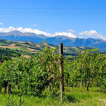 Casetta Mentuccia Bed & Breakfast *