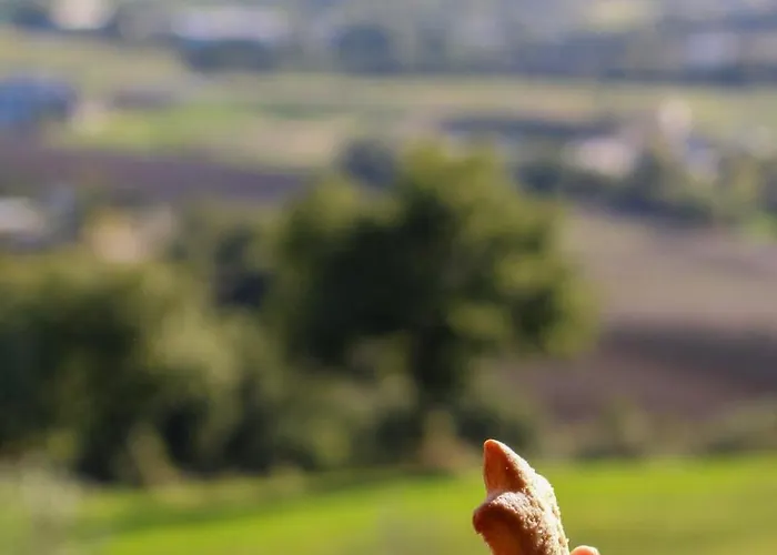 Casetta Mentuccia Panzió *