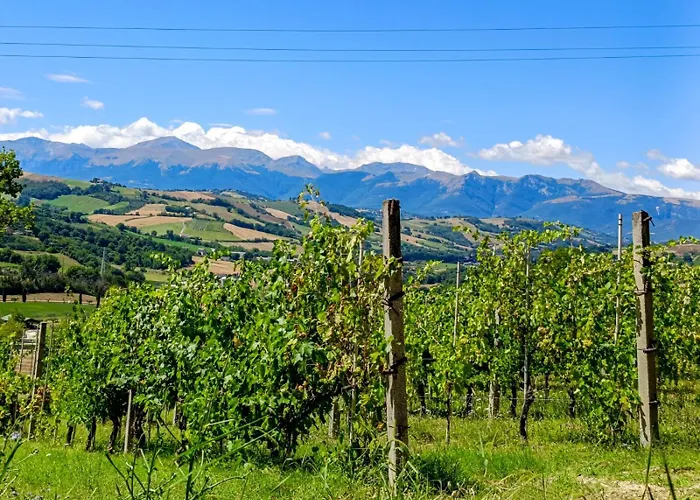 Casetta Mentuccia Panzió *